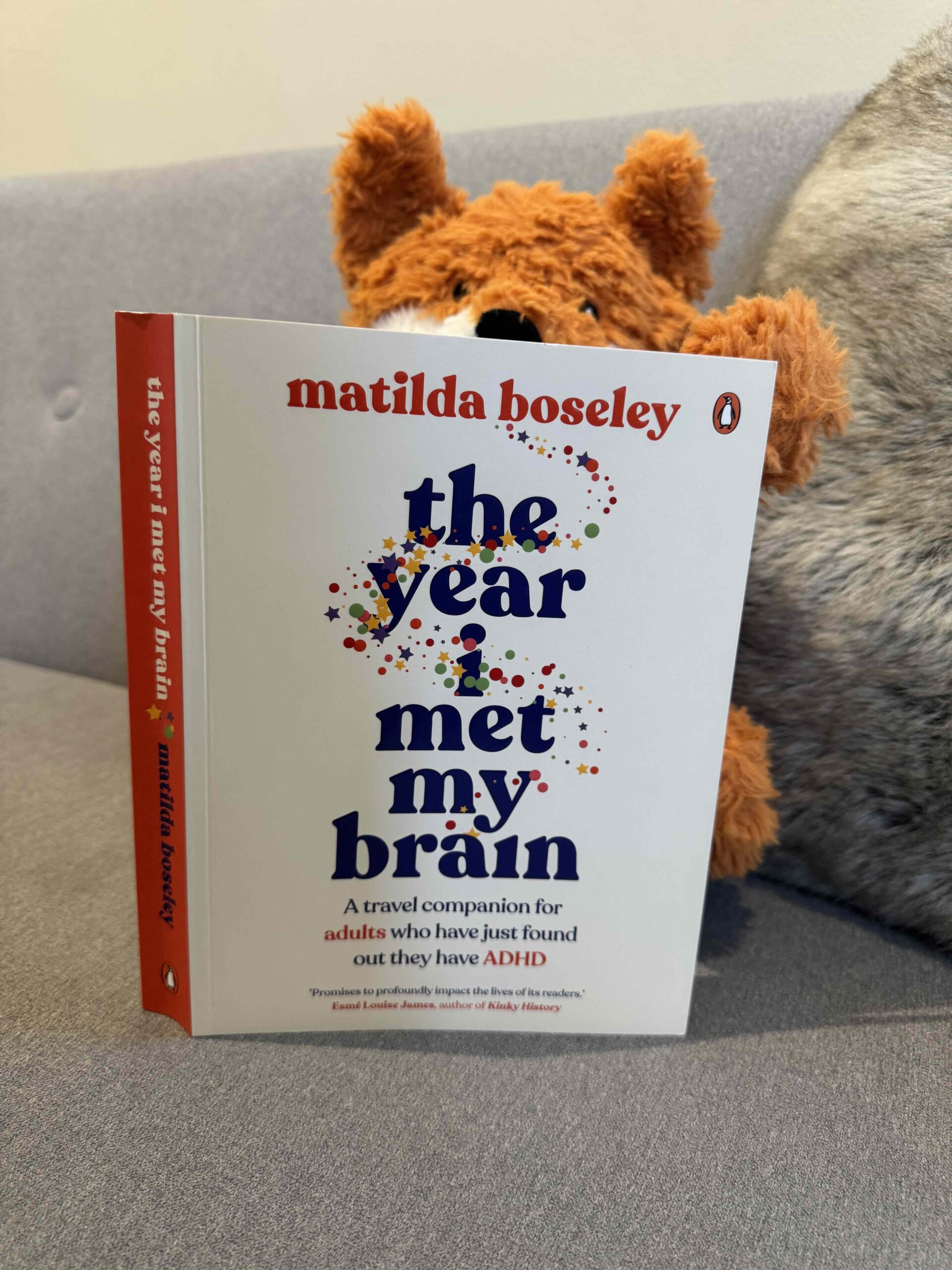 A picture of the book 'The Year I Met My Brain' held up by a weighted plushie fox
